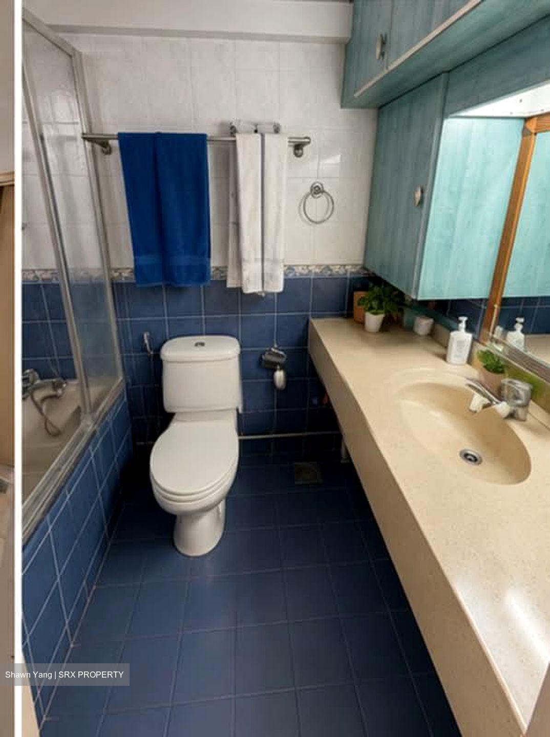 Blk 196 Rivervale Haven (Sengkang), HDB 5 Rooms #595888931